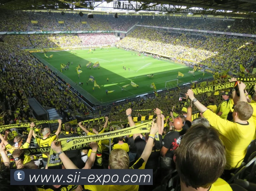 多媒体互动体验